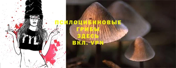MESCALINE Козловка